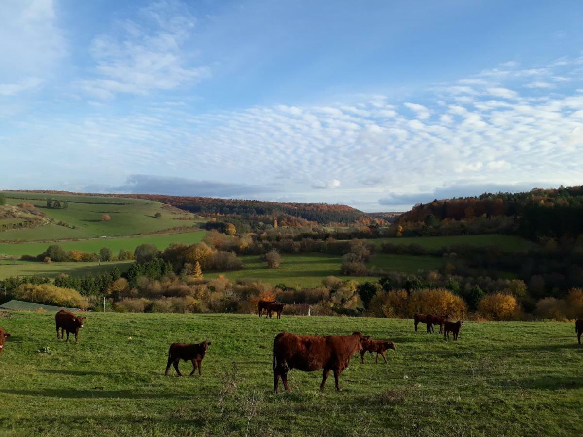 Gite Aux Lauriers Lacroix-sur-Meuse Buitenkant foto